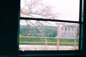 小湊鉄道 車窓 桜